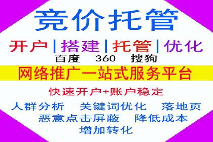 SEM广告优化：成功案例与策略分享
